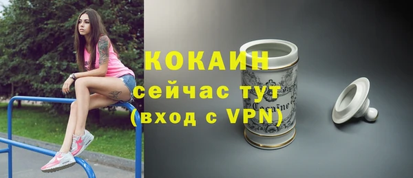 трава Богородицк