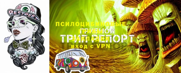 трава Богородицк