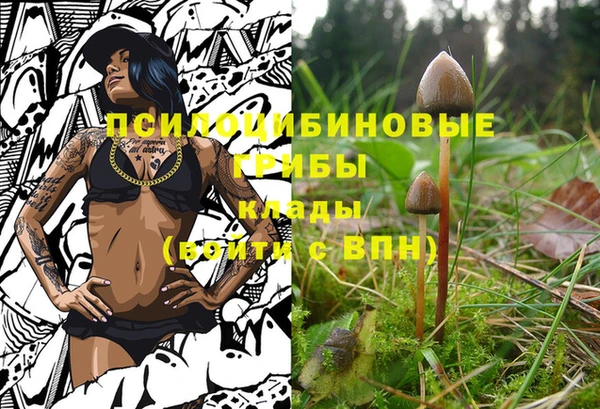 мяу мяу кристалл Богданович
