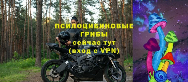 трава Богородицк