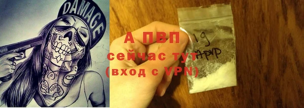 PSILOCYBIN Беломорск