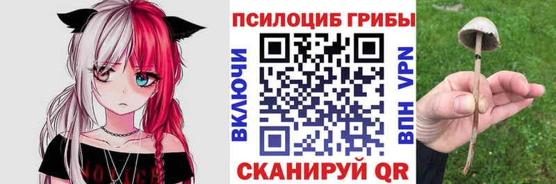 Псилоцибиновые грибы мицелий  MEGA ONION  Боровск  купить  